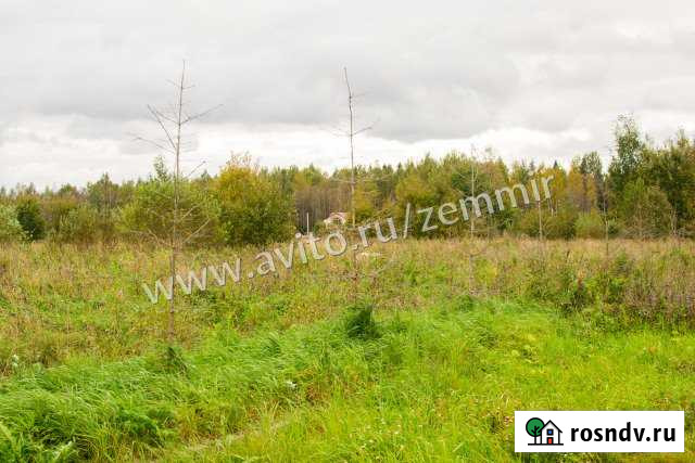 Участок СНТ, ДНП 9 сот. на продажу в Мге Мга - изображение 1