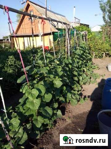 Дача 20 м² на участке 5 сот. на продажу в Димитровграде Димитровград - изображение 1