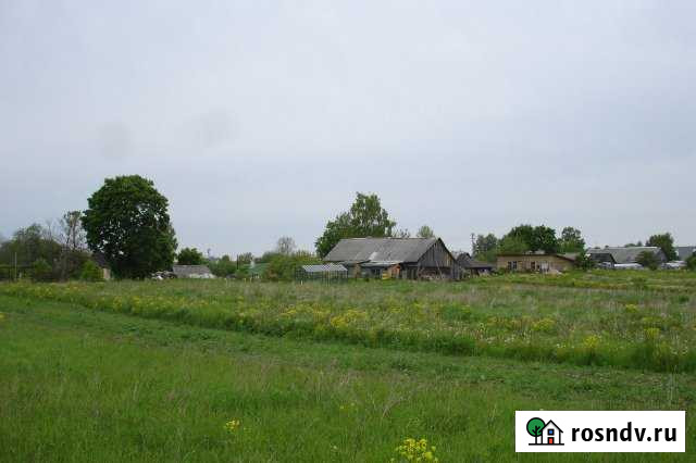 Участок ИЖС 30 сот. на продажу в Бегуницах Бегуницы - изображение 1