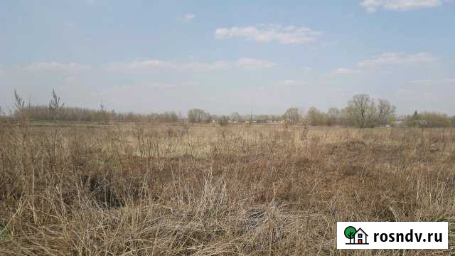 Участок ИЖС 32 сот. на продажу в Первомайском Тамбовской области Первомайский - изображение 1