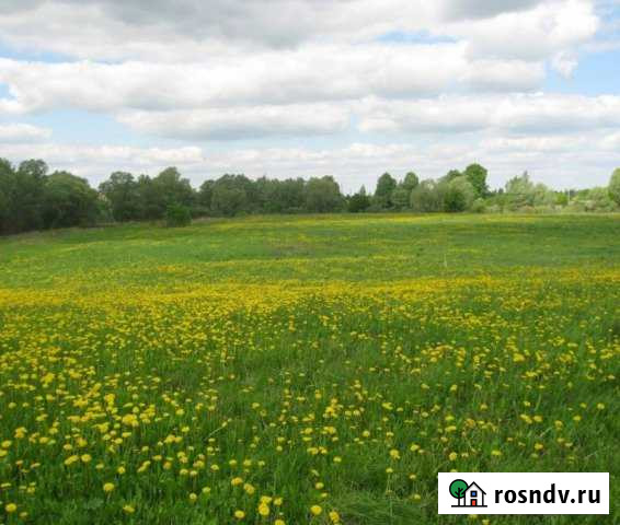 Участок СНТ, ДНП 500 сот. на продажу в Пскове Псков - изображение 1