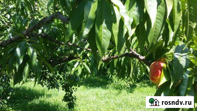 Участок ИЖС 11 сот. на продажу в Архипо-Осиповке Архипо-Осиповка - изображение 1