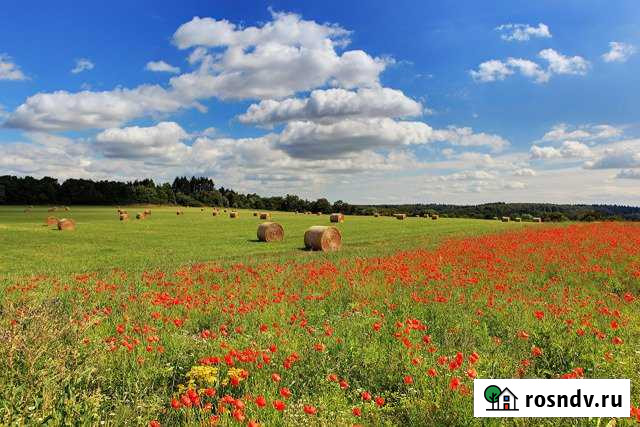 Участок СНТ, ДНП 1823 сот. на продажу в Калязине Калязин - изображение 1