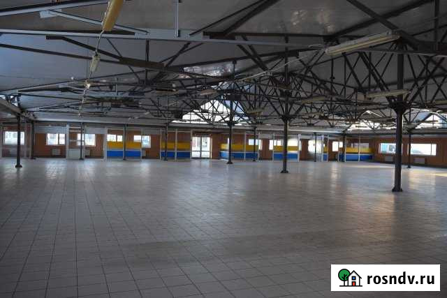 Свободного назначения 1200 кв.м. Псков - изображение 1