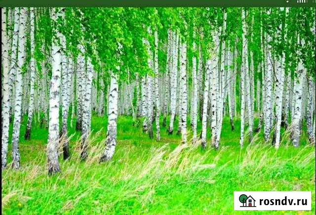 Участок ИЖС 5 сот. на продажу в Павловске Алтайского края Павловск - изображение 1