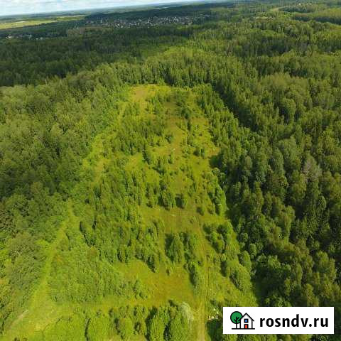 Участок СНТ, ДНП 377 сот. на продажу в Шаховской Шаховская - изображение 1