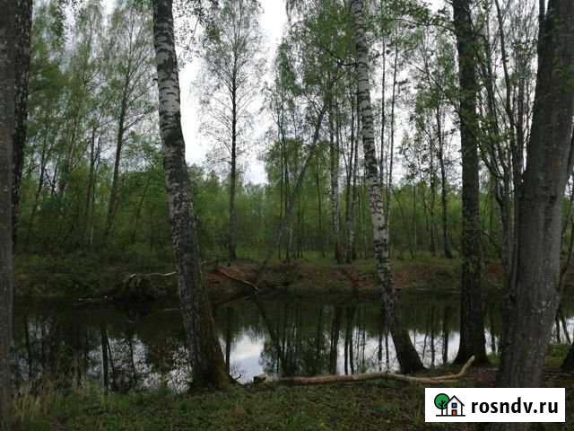 Участок СНТ, ДНП 36 сот. на продажу в Волоколамске Волоколамск - изображение 1