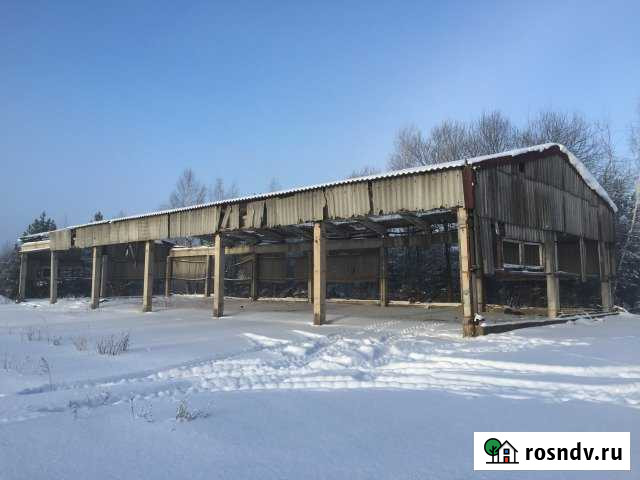 Участок СНТ, ДНП 258 сот. на продажу в Шатурторфе Шатурторф - изображение 1