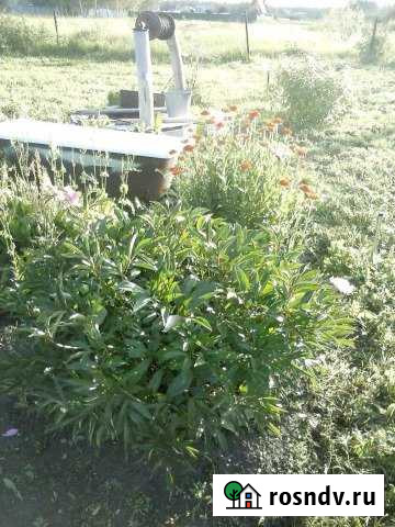 Участок СНТ, ДНП 10 сот. на продажу в Богандинском Богандинский - изображение 1