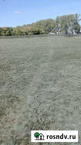 Участок ИЖС 16 сот. на продажу в Крутихе Крутиха - изображение 1