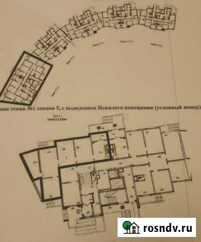 Помещение свободного назначения, от 93 до 242 кв.м. Домодедово - изображение 1