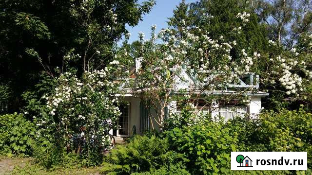 Дом 61 м² на участке 9 сот. на продажу в Светлогорске Светлогорск - изображение 1