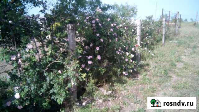 Дача 23 м² на участке 4.5 сот. на продажу в Евпатории Евпатория - изображение 1