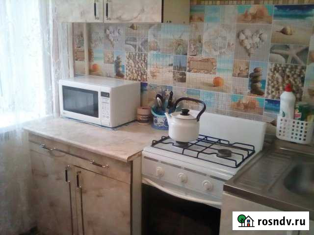 1-комнатная квартира, 29 м², 1/5 эт. в аренду посуточно в Марксе Маркс - изображение 1