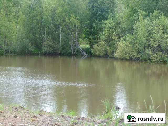 Участок СНТ, ДНП 15 сот. на продажу в Сергиевом Посаде Сергиев Посад - изображение 1