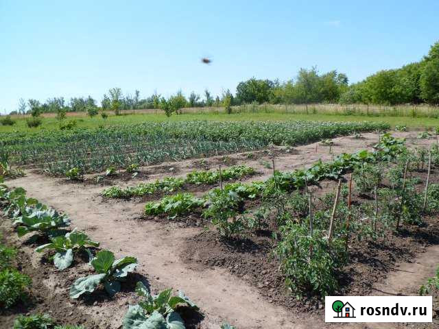 Дом 51 м² на участке 50 сот. на продажу в Дмитриеве-Льговском Дмитриев-Льговский - изображение 1