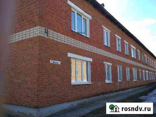 1-комнатная квартира, 30 м², 2/2 эт. на продажу в Агрызе Агрыз