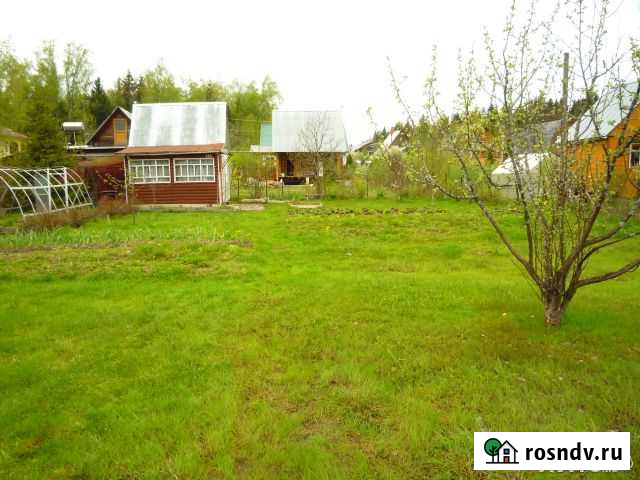 Участок СНТ, ДНП 6 сот. на продажу в Шишкине Лесе Шишкин Лес - изображение 1