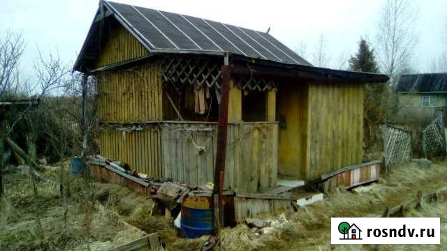 Участок СНТ, ДНП 6 сот. на продажу в Панковке Панковка - изображение 1