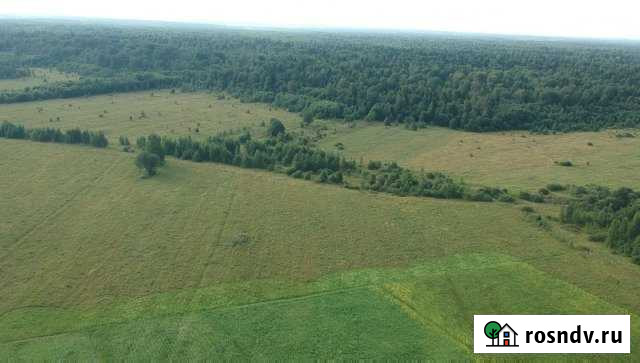 Участок СНТ, ДНП 2000 сот. на продажу в Калашниково Калашниково - изображение 1