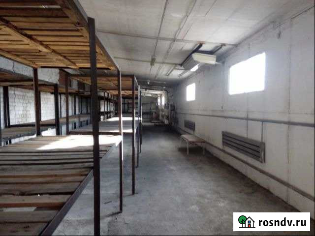 Сдам полуподвал.помещение р-н Роддома Новочеркасск - изображение 1