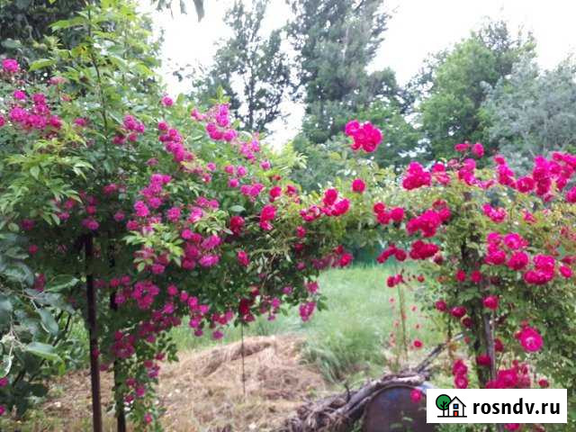 Дом 60 м² на участке 30 сот. на продажу в Саратовской Саратовская - изображение 1