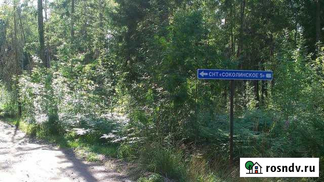 Участок СНТ, ДНП 18 сот. на продажу в Выборге Выборг - изображение 1