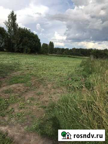 Участок ИЖС 16 сот. на продажу в Некрасовском Ярославской области Некрасовское - изображение 1