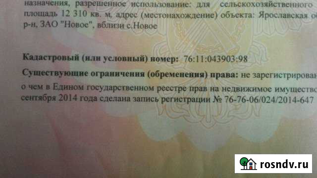 Участок СНТ, ДНП 130 сот. на продажу в Балакирево Балакирево - изображение 1