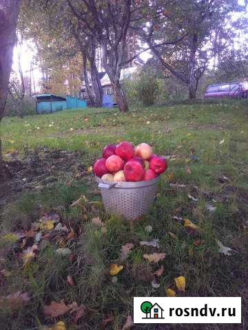 Дача 60 м² на участке 15 сот. в аренду на длительный срок в Санкт-Петербурге Санкт-Петербург - изображение 1
