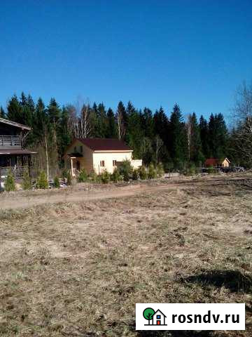 Участок СНТ, ДНП 15 сот. на продажу в Сосновом Бору Сосновый Бор - изображение 1