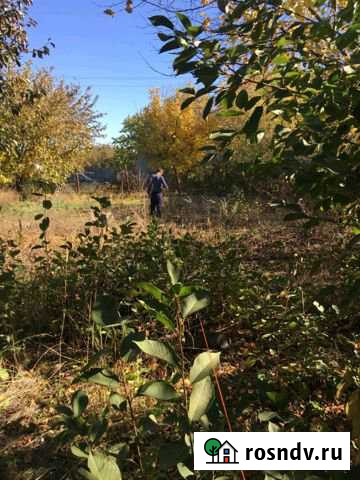 Участок СНТ, ДНП 5 сот. на продажу в Больших Салах Большие Салы - изображение 1