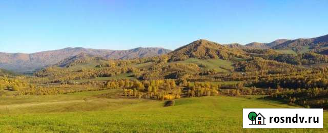 Участок СНТ, ДНП 30500 сот. на продажу в Горно-Алтайске Горно-Алтайск - изображение 1