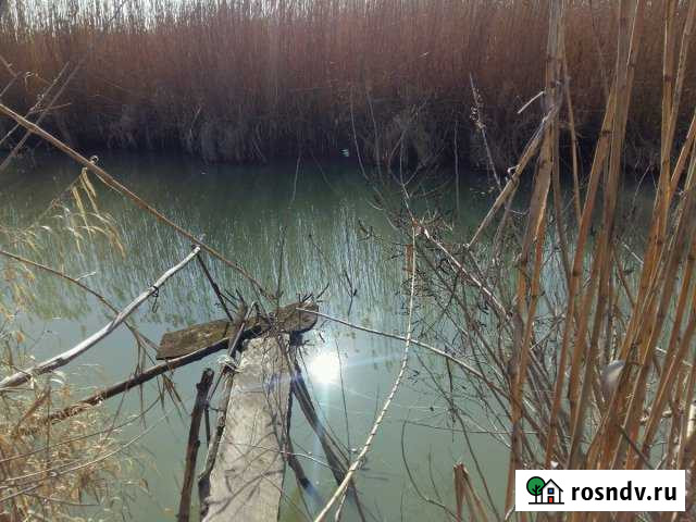 Участок СНТ, ДНП 29 сот. на продажу в Черноерковской Черноерковская - изображение 1