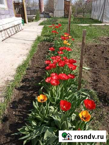 Дом 50 м² на участке 8 сот. на продажу во Фролово Фролово - изображение 1