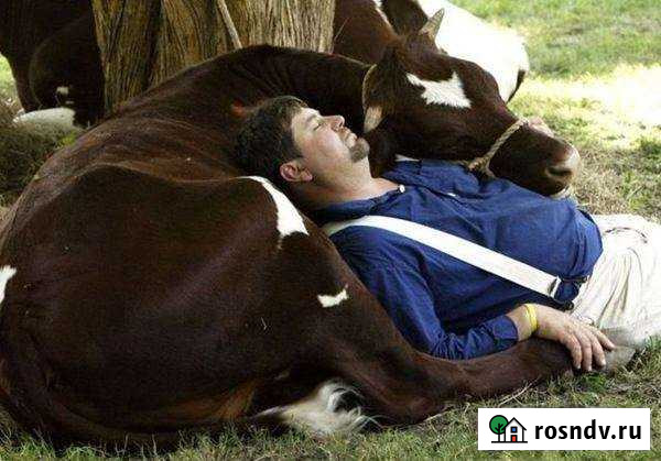 Участок СНТ, ДНП 20000 сот. на продажу в Заводоуковске Заводоуковск - изображение 1