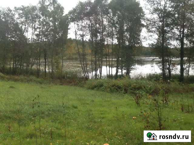 Участок ИЖС 160 сот. на продажу в Себеже Себеж - изображение 1