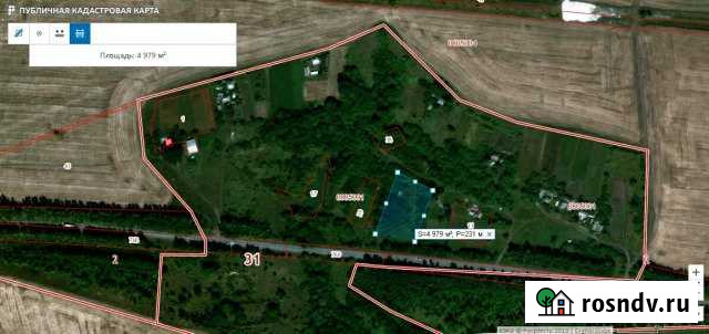 Участок СНТ, ДНП 50 сот. на продажу в Прохоровке Прохоровка - изображение 1