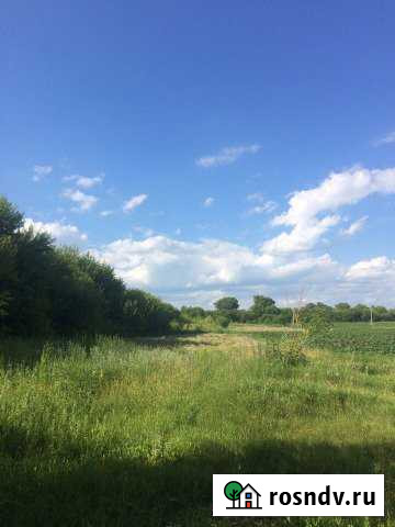 Участок ИЖС 20 сот. на продажу в Россоши Россошь - изображение 1