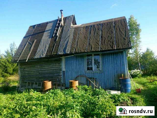 Дача 54 м² на участке 11 сот. на продажу в Киришах Кириши - изображение 1