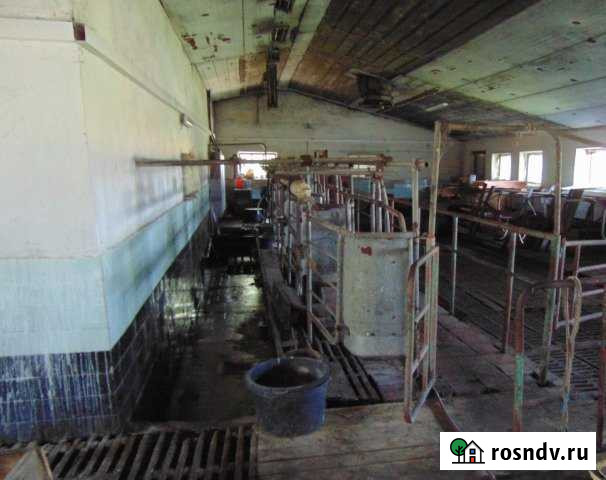 Здание фермы, 800 кв.м. Нарышкино - изображение 1