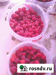 Участок СНТ, ДНП 5 сот. на продажу в Новокуйбышевске Новокуйбышевск - изображение 1