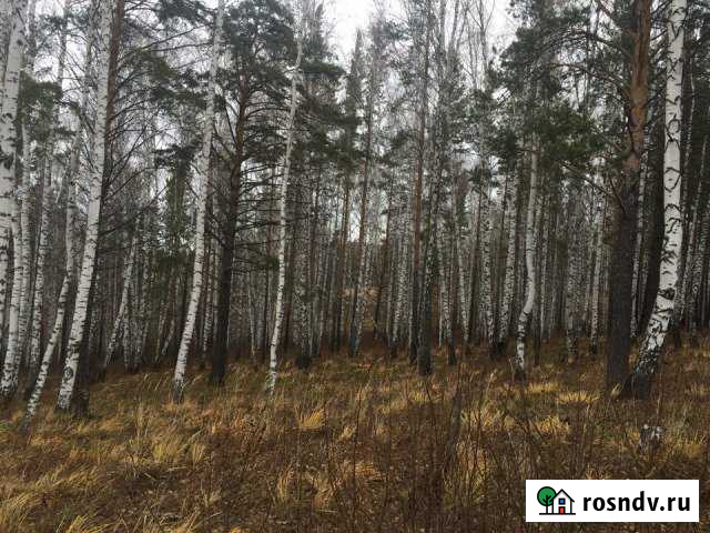 Участок ИЖС 8 сот. на продажу в Зыково Зыково - изображение 1