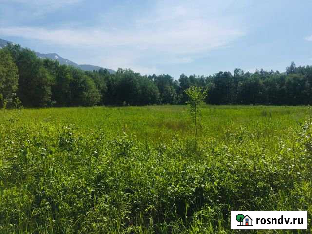 Участок СНТ, ДНП 61 сот. на продажу в Елизово Елизово - изображение 1