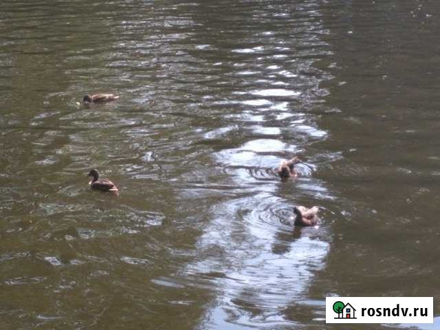 Участок СНТ, ДНП 5 сот. на продажу в Ждановском Ждановский - изображение 1