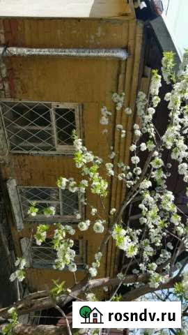 Дом 50 м² на участке 1 сот. в аренду на длительный срок в Краснодаре Краснодар - изображение 1