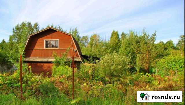 Участок СНТ, ДНП 8 сот. на продажу в Буграх Бугры - изображение 1