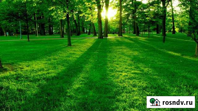 Участок СНТ, ДНП 10 сот. на продажу в Зыково Зыково - изображение 1