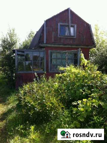 Дача 30 м² на участке 10 сот. на продажу в Заринске Заринск - изображение 1