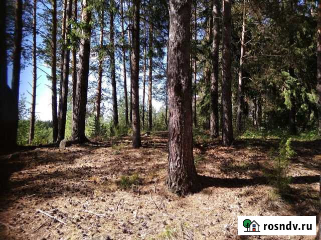 Участок ИЖС 11 сот. на продажу в Исети Исеть - изображение 1